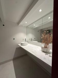 a bathroom with a sink and a large mirror at Sjønært småbruk in Bud +39 photos