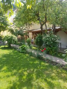 a garden with flowers and plants in a yard at Apartament Teilor in Râşnov