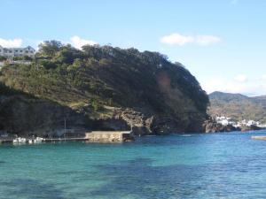a view of a body of water with a mountain at Gardenvilla Shirahama in Shimoda