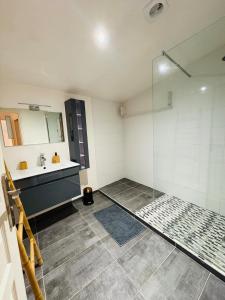 a bathroom with a sink and a shower at L'Emile Zola l 2 Chambres l Hypercentre in Castres