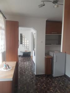 a kitchen with a refrigerator and a counter top at Apartament Teilor in Râşnov +24 photos