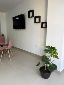 a room with a plant and a tv on a wall at Moderno Apto central in Estación El Salto