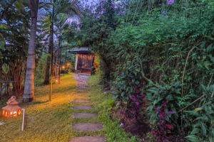 a path in the middle of a forest with trees at Chalé de montaña con Jacuzzi in Guarne