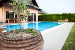 a tree in a pot next to a swimming pool at Villa Helena, Venetien, Exklusive Villa auf Privatinsel Albarella, 4 Bedrooms 8 Personen, 300 m Strand in Isola Albarella