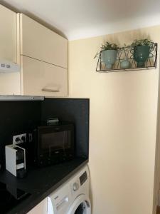 a kitchen with a microwave and a washer at Maisonnette provençale les pensées in Carpentras