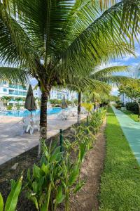a row of palm trees next to a swimming pool at Apto Porto de Galinhas in Porto De Galinhas