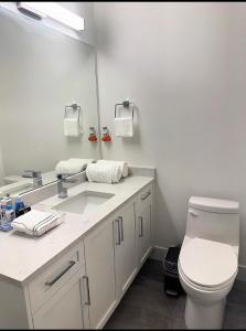 a bathroom with a sink and a toilet and a mirror at Quiet Private Room Victoria - PS5, Fast WiFi, Parking in Langford +8 photos