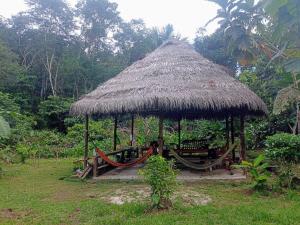 a hut with a hammock and a grass roof at Panguana Lodge all included in Iquitos