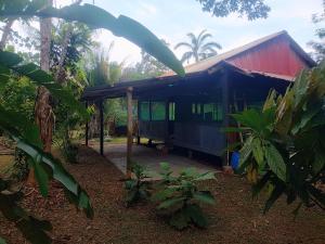 a small house with a red roof in a forest at Panguana Lodge all included in Iquitos