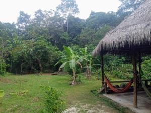 a straw hut with a hammock in a field at Panguana Lodge all included in Iquitos +13 photos