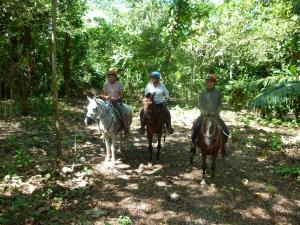 a group of people riding horses in the woods at Primer Canto B&B - Near Ferry & Early Birdwatching Trails in Lepanto