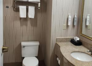 a bathroom with a toilet and a sink and a mirror at Baymont by Wyndham Midland TX in Midland +7 photos