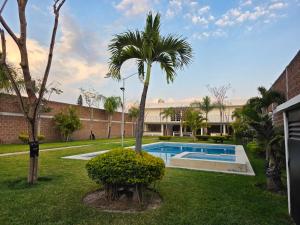 a palm tree and a swimming pool in a yard at La Casa Blanca VIP in Tlayecac