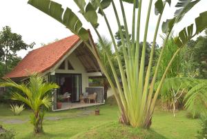 a house in a garden with a palm tree at Graha Ayoe Resort in Sidemen