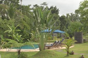 a palm tree sitting next to a swimming pool at Graha Ayoe Resort in Sidemen