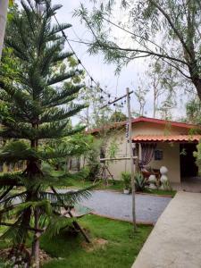a pine tree in front of a house at กมุทมาศ สวรรคโลก in Ban Pa Muang (1)