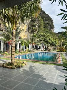 a palm tree sitting next to a swimming pool at Foresta Ninh Binh Homestay in Ninh Binh