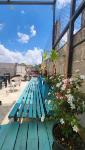 a blue bench sitting on a patio with flowers at Embajada Inn in San Cristóbal de Las Casas