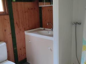 a bathroom with a sink and a toilet at Chalet avec terrasse - 6 pers. - API-1-52-2030 in La Tour-dʼAuvergne
