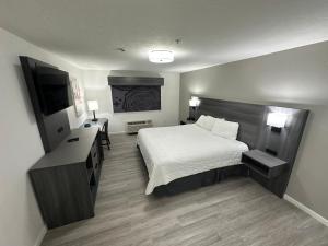 a hotel room with a bed and a television at Quality Inn Carlin in Carlin