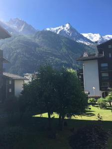 a building with a tree in front of a mountain at Apartment Clos du Savoy in Chamonix-Mont-Blanc