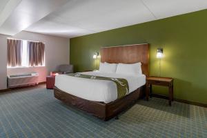 a bedroom with a large bed and green walls at Quality Inn Lexington -Horse Park in Lexington +38 photos