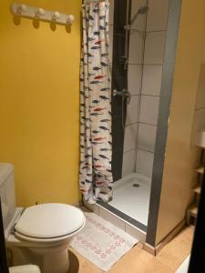 a bathroom with a toilet and a shower at Gîte à la ferme in Renansart