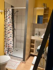 a bathroom with a shower and a toilet at Gîte à la ferme in Renansart