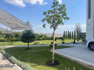 a tree in a park next to a building at Fabulous Villa In Yerevan. in Yerevan