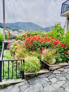 a garden with red flowers and plants on a balcony at Clover Cottage in Nuwara Eliya +4 photos