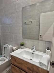 a bathroom with a sink and a toilet and a mirror at Pinedo Playa Holiday 2 in Valencia