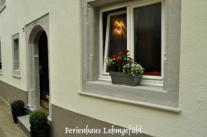 una ventana con dos macetas. en Lehmgefühl, Design Vier, La Petite Maison, en Trier