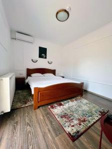 a bedroom with a bed and a rug at Casa TeoDora Caciulata in Căciulata