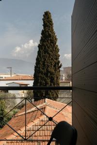 a view of a large pine tree from a balcony at Zoe's Luxury Living in Volos +19 photos