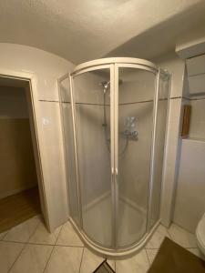 a glass shower in a bathroom with a toilet at Souterrainwohnung mit Badesteg an der Paar in Friedberg +31 photos