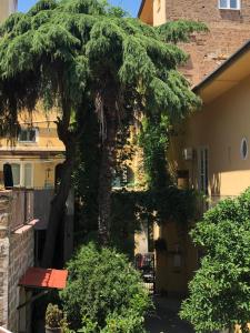 a large tree in front of a house at B&B Galileo Galilei in Caserta