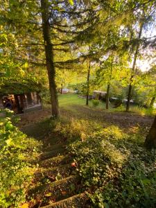 a park with trees and leaves on the ground at Souterrainwohnung mit Badesteg an der Paar in Friedberg