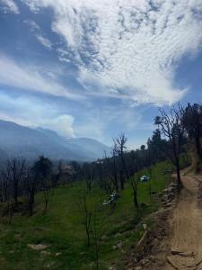 a view of a field with trees and a dirt road at Walking Trails Homestay in Baragrān