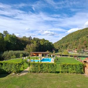 a garden with a swimming pool and a house at Casa cu Prispa in Sighişoara