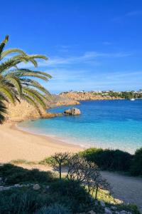 a beach with a palm tree and the ocean at Apartamento Ada a 2 minutos de la playa y con piscina! in Arenal d'en Castell