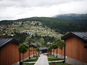 a view of a valley with a bunch of houses at Phoenix Relax Park in Bukovel