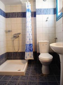 a bathroom with a toilet and a shower and a sink at Apollonia Apartments in Agia Pelagia
