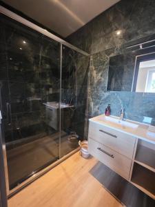 a bathroom with a shower and a sink at L'aulne in Carhaix-Plouguer +2 photos