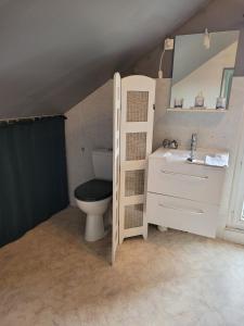 a bathroom with a toilet and a sink at Charmes à Changey in Changey +33 photos