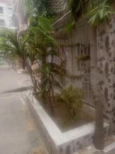 a group of palm trees in front of a building at Beautiful 1-bed Apartment-Suite Kolkata near Airport in Kolkata