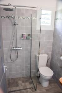 a bathroom with a toilet and a glass shower at La kaz a sonel, gîte au vert in Morne-à-lʼEau +7 photos