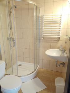 a bathroom with a shower and a toilet and a sink at Villa Over Lake in Mielno +48 photos