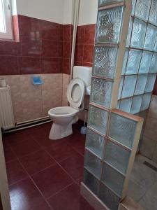 a bathroom with a toilet and a glass wall at Pensiunea Nicol Tulcea in Tulcea