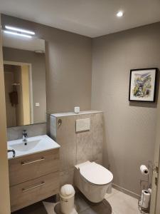 a bathroom with a toilet and a sink and a mirror at La Tour Cicon in Salins-les-Bains +6 photos