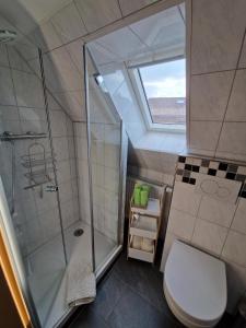 ein kleines Badezimmer mit Dusche und Toilette in der Unterkunft Pfaffenhaus in Frankenheim + 30 Fotos